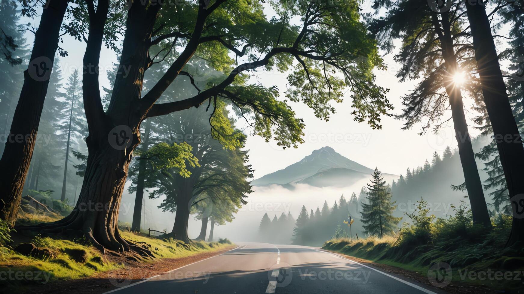 view of a quiet road in the middle of a forest with trees, shining sun, and beautiful mountain views photo