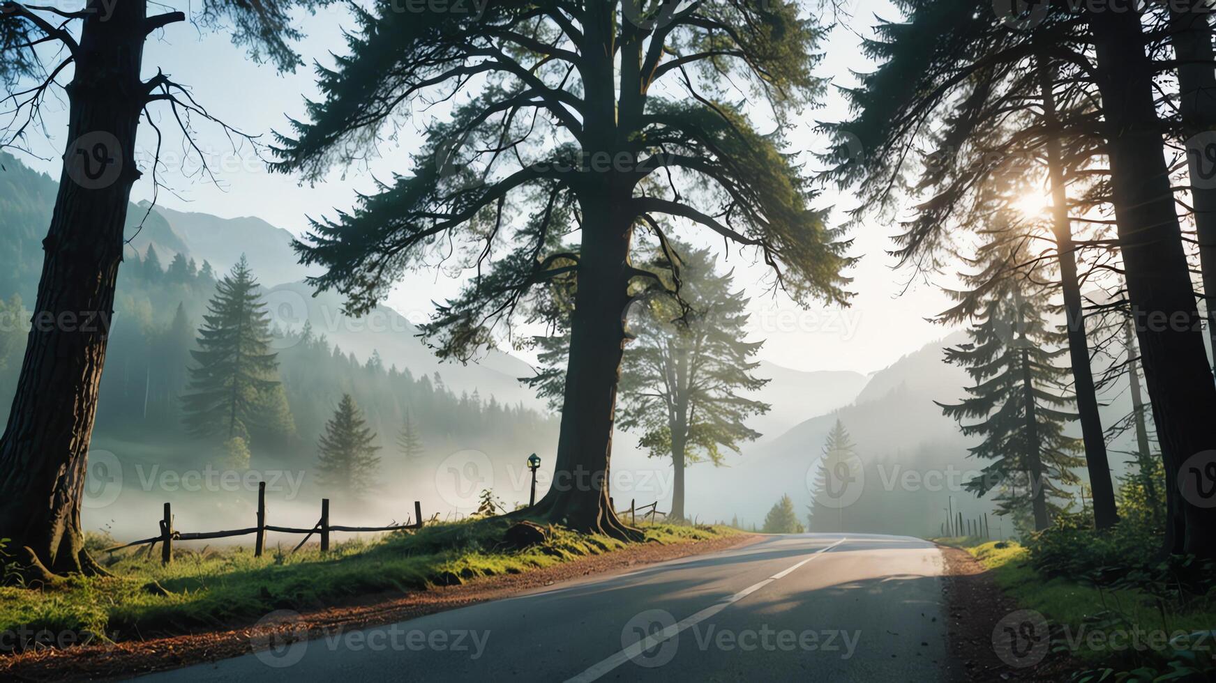 view of a quiet road in the middle of a forest with trees, shining sun, and beautiful mountain views photo