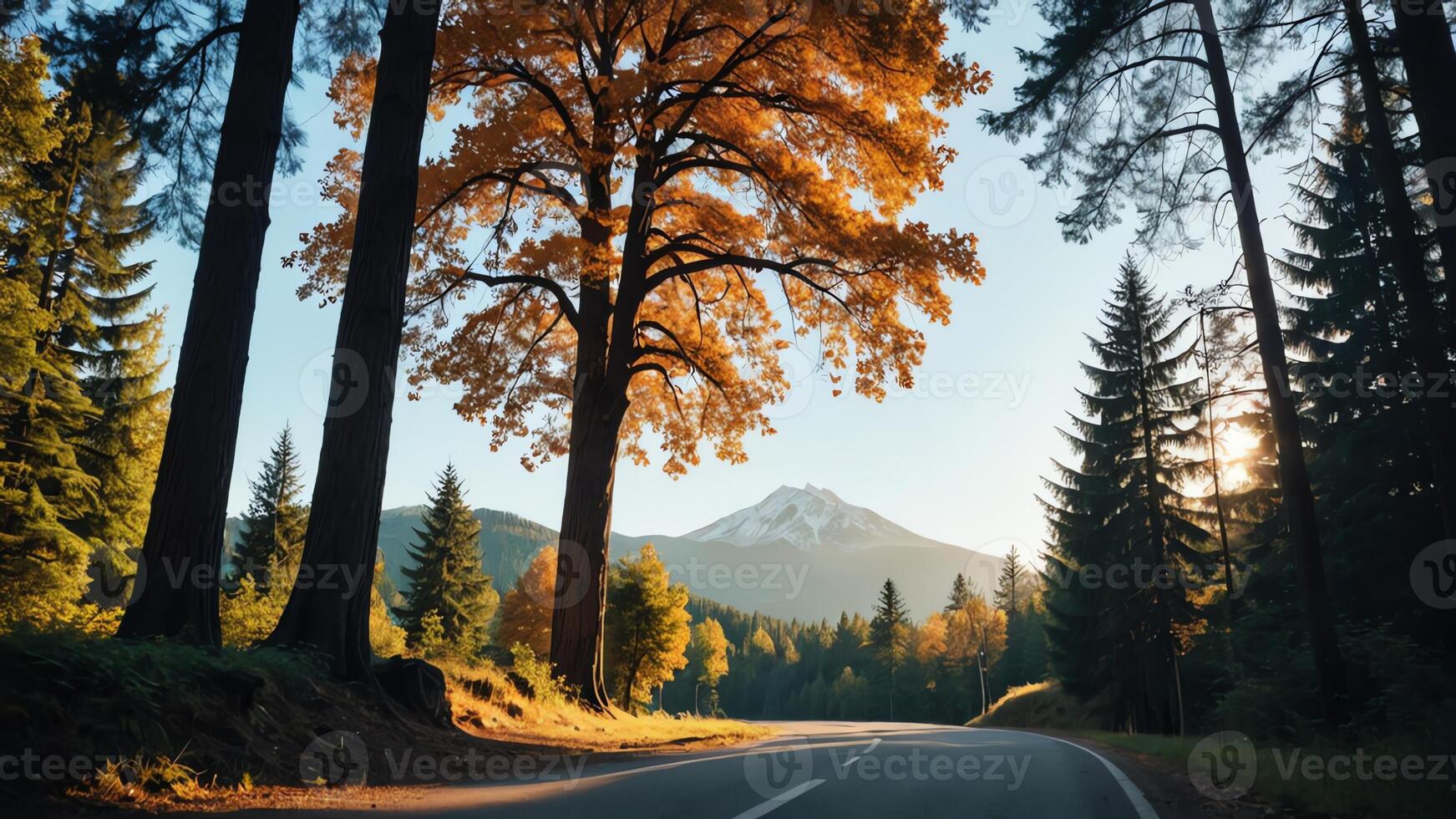 a road with trees and mountains in the background photo