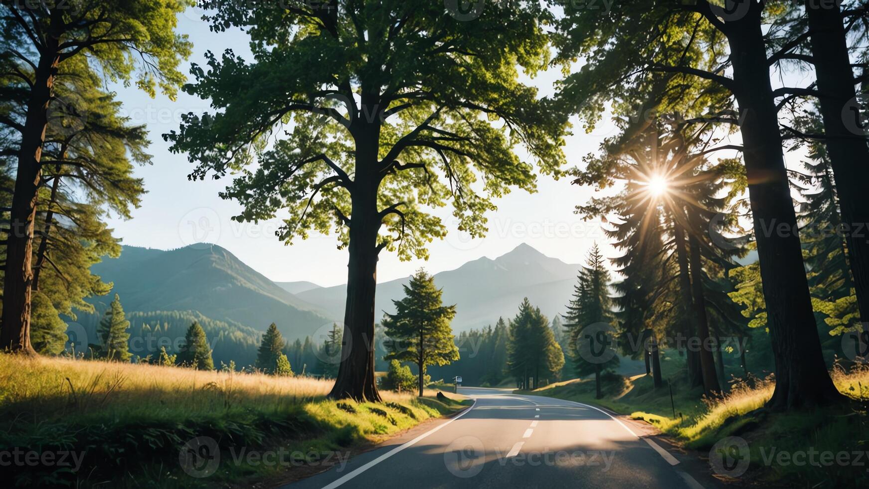 view of a quiet road in the middle of a forest with trees, shining sun, and beautiful mountain views photo