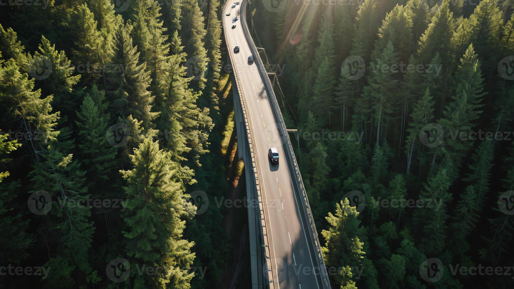 aerial view of the highway, overpass in the middle of the forest photo