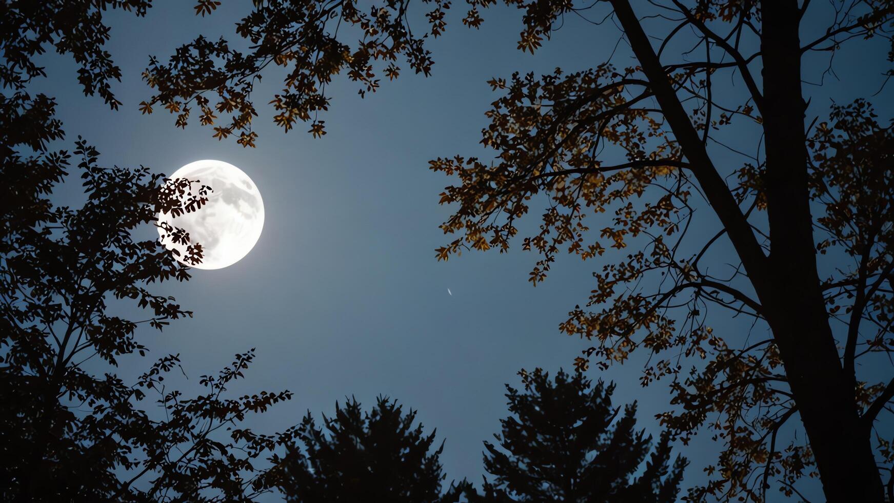 the moon is seen through the trees in this photo