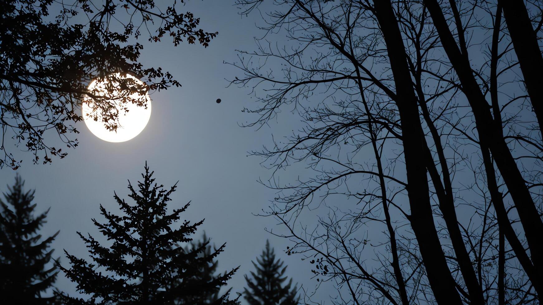 the moon is seen through the trees in this photo