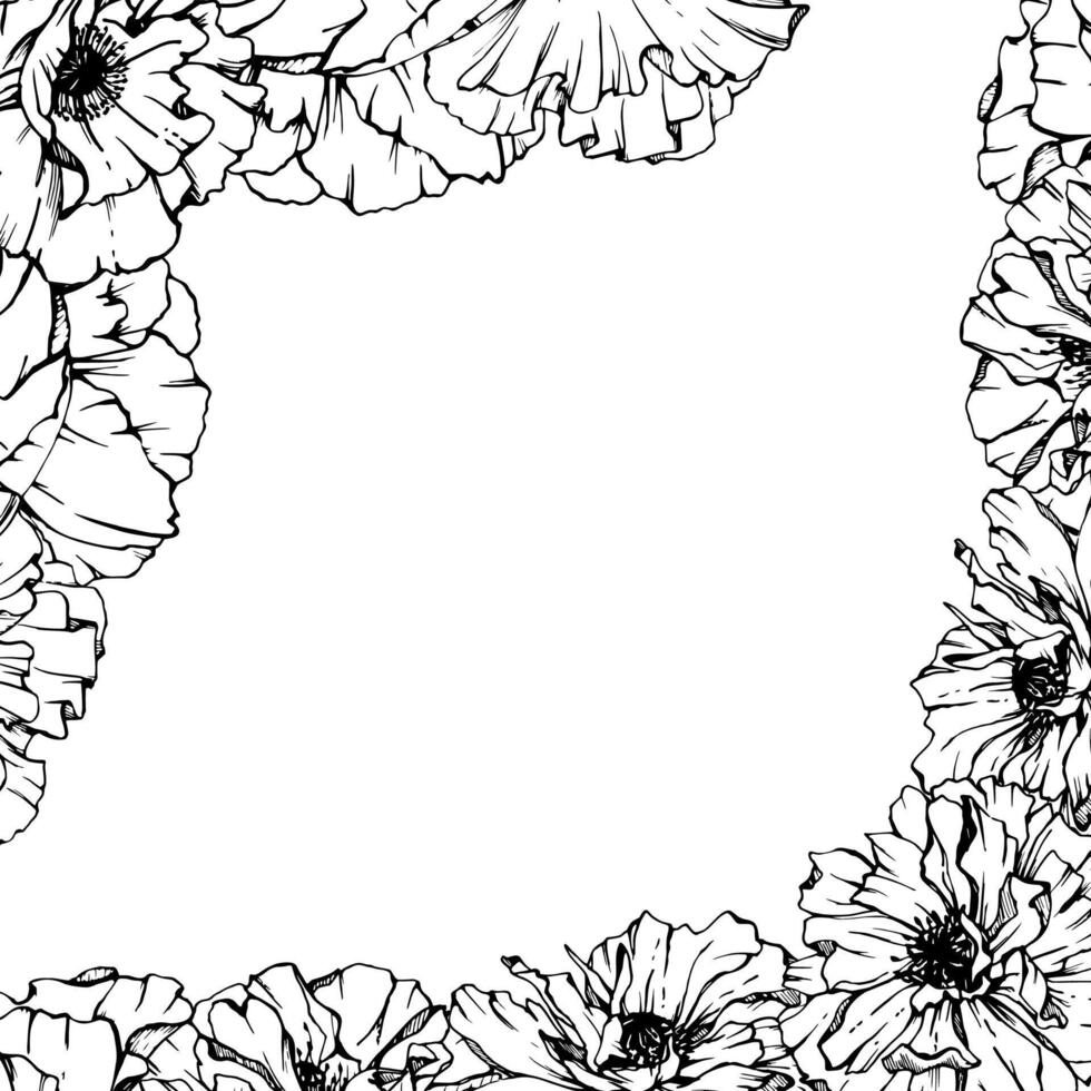 Hand drawn graphic botanical illustration flowers leaves. Red poppy papaver, stems buds seedpods. Border frame isolated on white background. Design wedding, cards, remembrance day stationery. vector