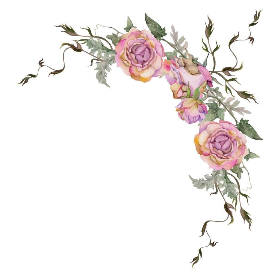 Hand drawn watercolor illustration shabby boho botanical flowers leaves. Dusty pink tea rose buds, ivy tendrils, silver cineraria. Corner frame isolated on white background. Design wedding, love cards vector