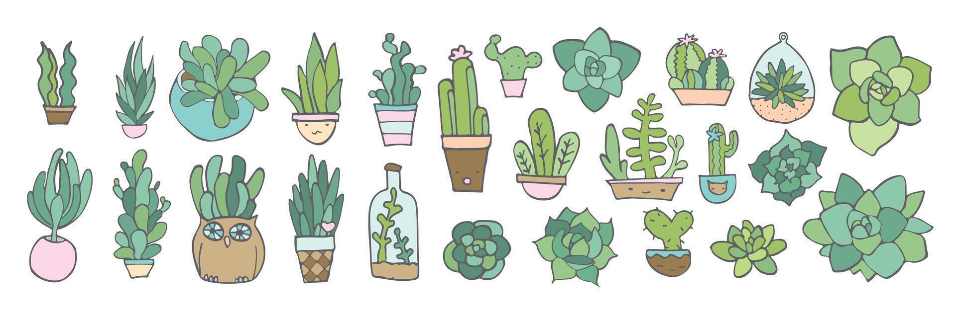 Cute hand-drawn illustrations of various potted succulents and cacti, perfect for home decor. vector