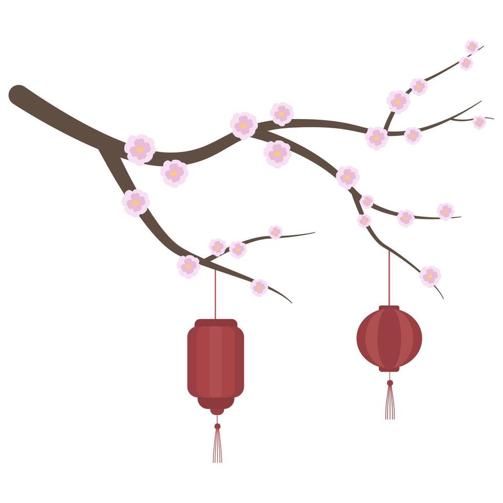 Illustration with sakura isolated on a white background. Banner with blooming cherry blossom and red chinese traditional lanterns vector