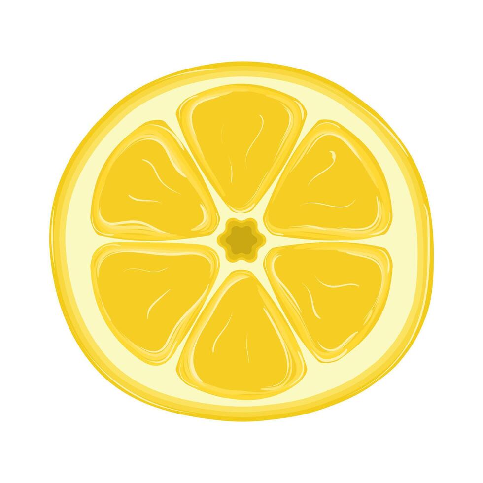 Slice of lemon, a citrus fruit often used as a garnish or flavoring in food and drinks. illustration vector
