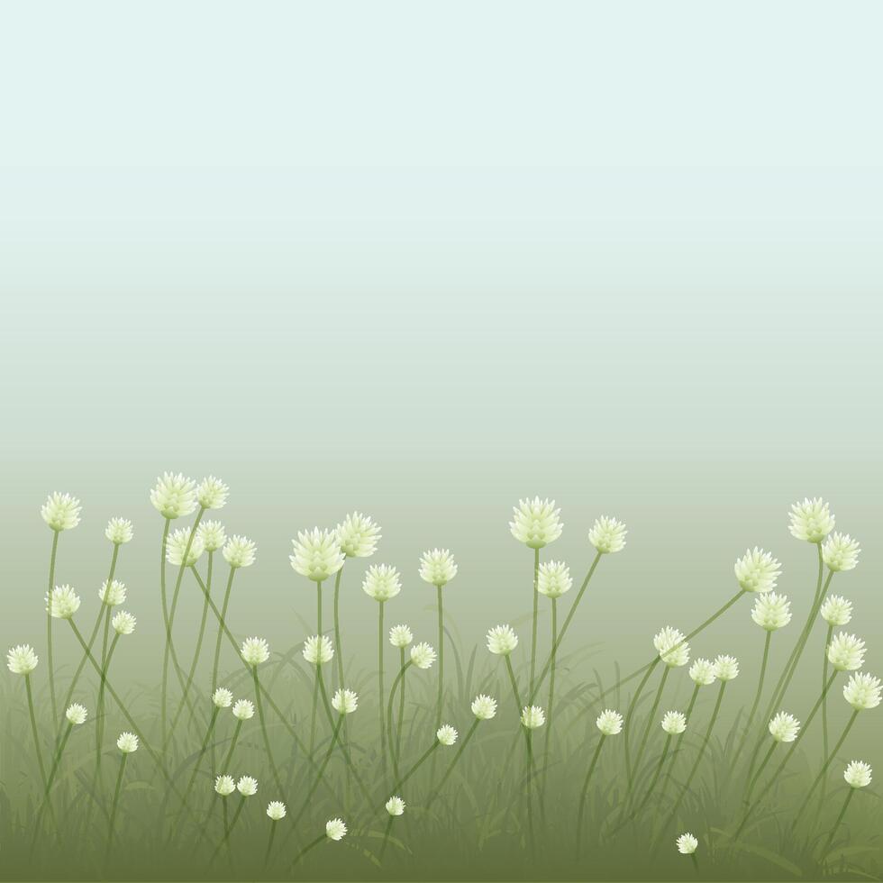 Grass flowers side view minimalist landscape graphic illustrated with thick fog background have blank space. vector