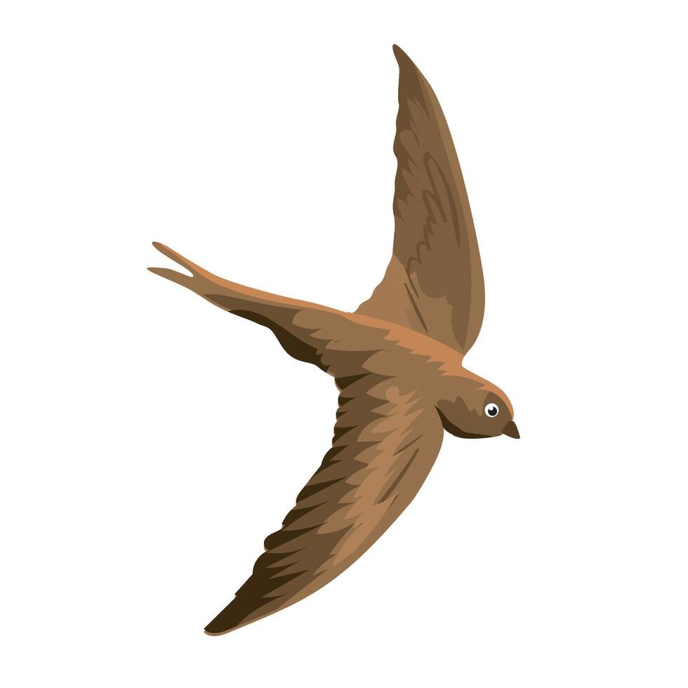 illustration of beautiful fast swift flying vector