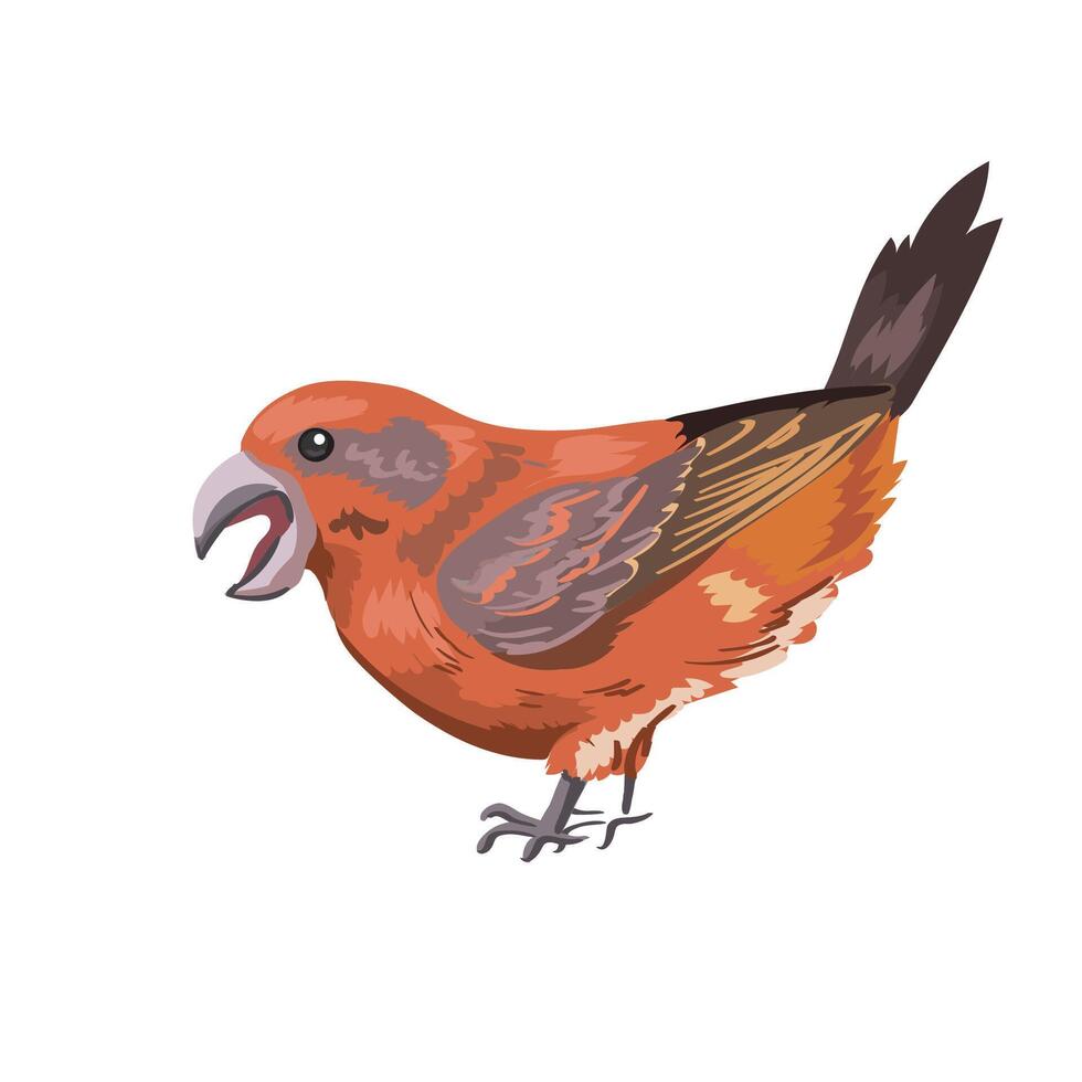 Beautiful big bird crossbill in realistic style vector