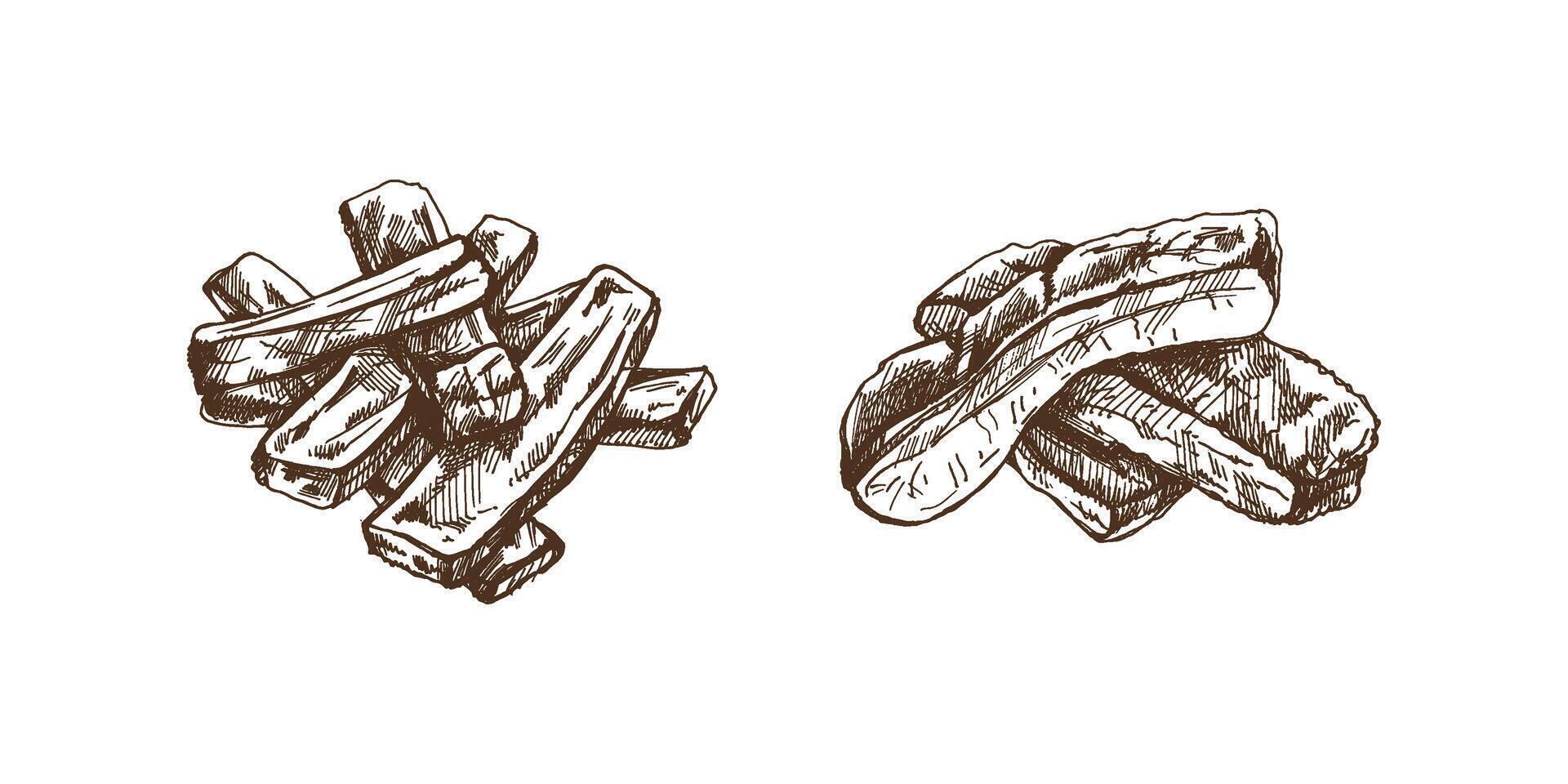 Hand-drawn monochrome sketch set of barbecue ribs. Doodle vintage illustration. Decorations for the menu of cafes and labels. Engraved image. vector