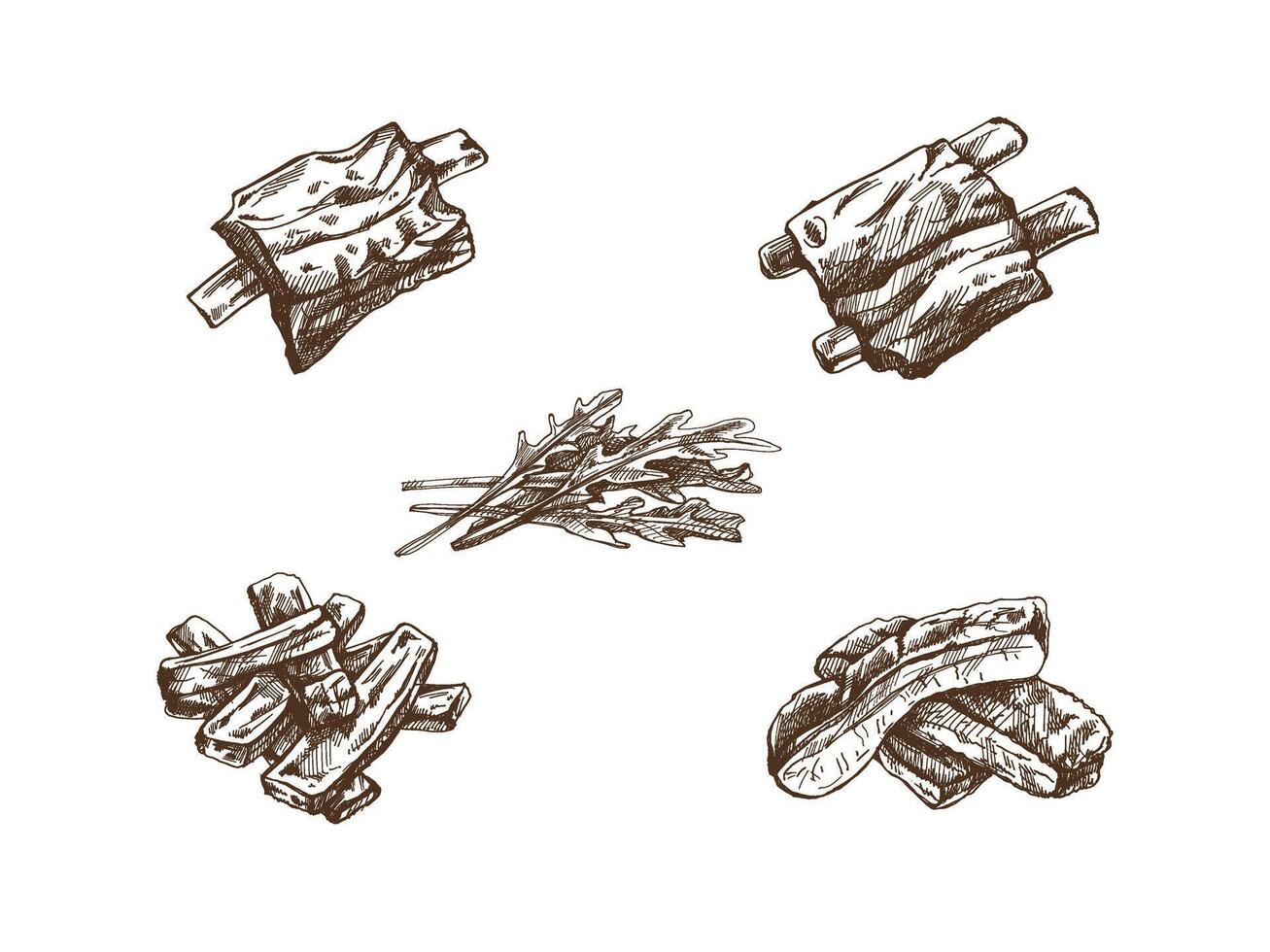 Hand-drawn monochrome sketch set of barbecue ribs and a bunch of arugula. Doodle vintage illustration. Decorations for the menu of cafes and labels. Engraved image. vector