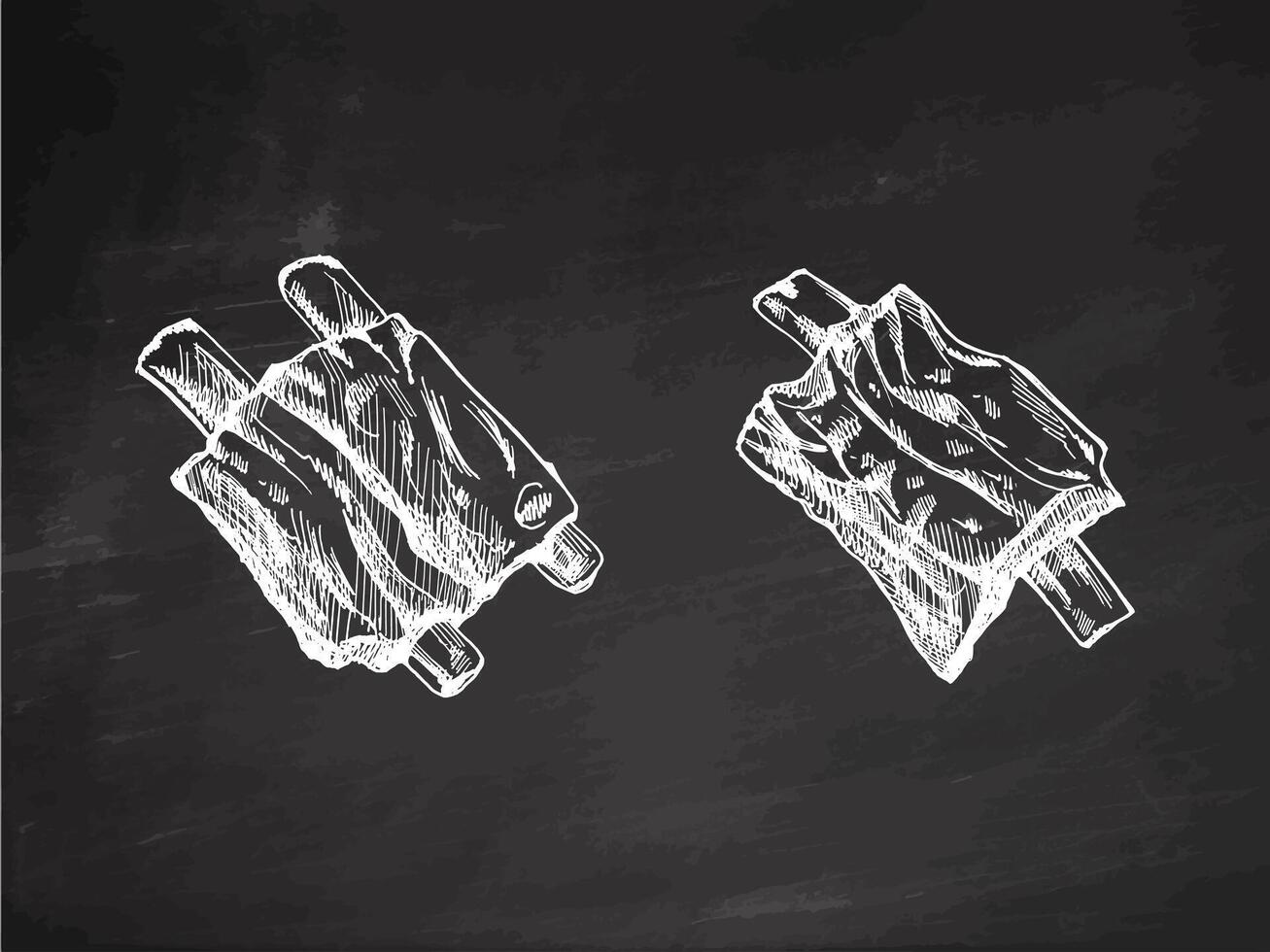 Hand-drawn monochrome sketch set of barbecue ribs. Doodle vintage illustration. Decorations for the menu of cafes and labels. Engraved image on chalkboard background. vector