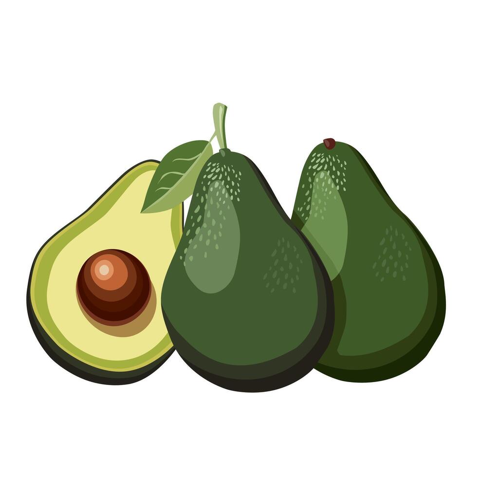 Fresh whole and half cut green avocado with leaf isolated on white background. Side view clipart. Summer food illustration in flat style for design of card, banner, flyer, poster for party vector