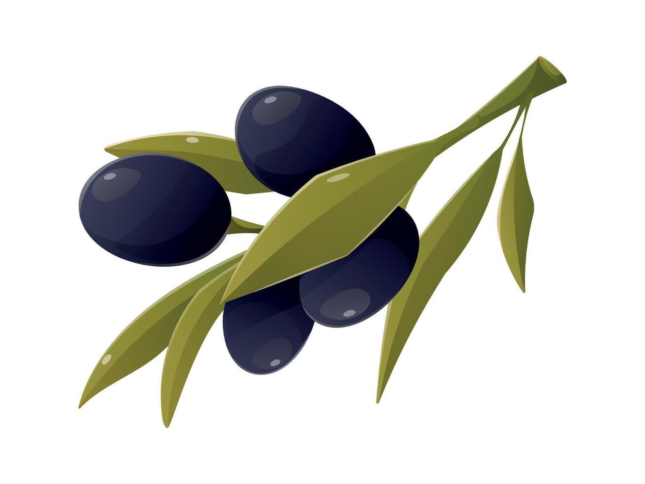 Olive branch with black berries fruits and leaves. isolated cartoon illustration. vector