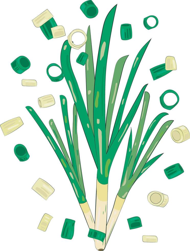 Chopped Green Onion Element Chives Slices Illustration Graphic Element Art Card vector