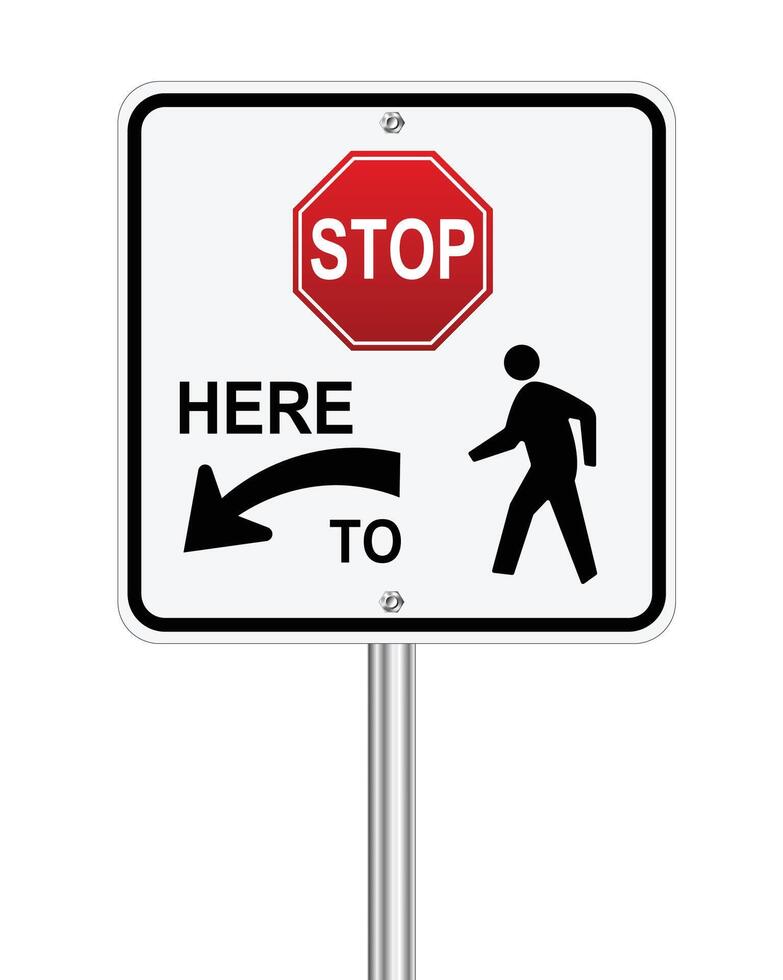 Traffic road sign stop here to pedestrians warning on white vector