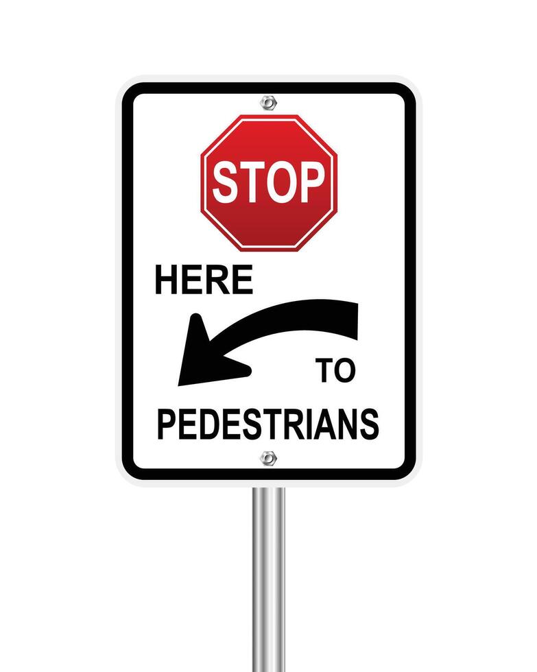 Traffic road sign Stop here to pedestrians warning on white vector
