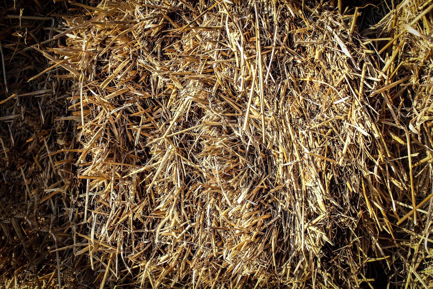 Abstract background of a bunch of straw photo