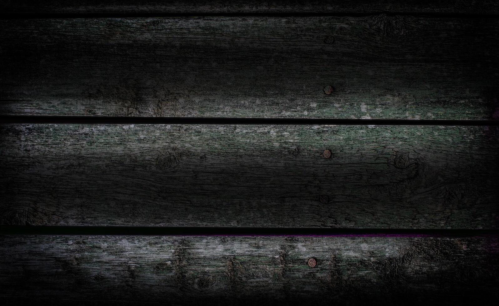 the texture of an old wooden shield photo