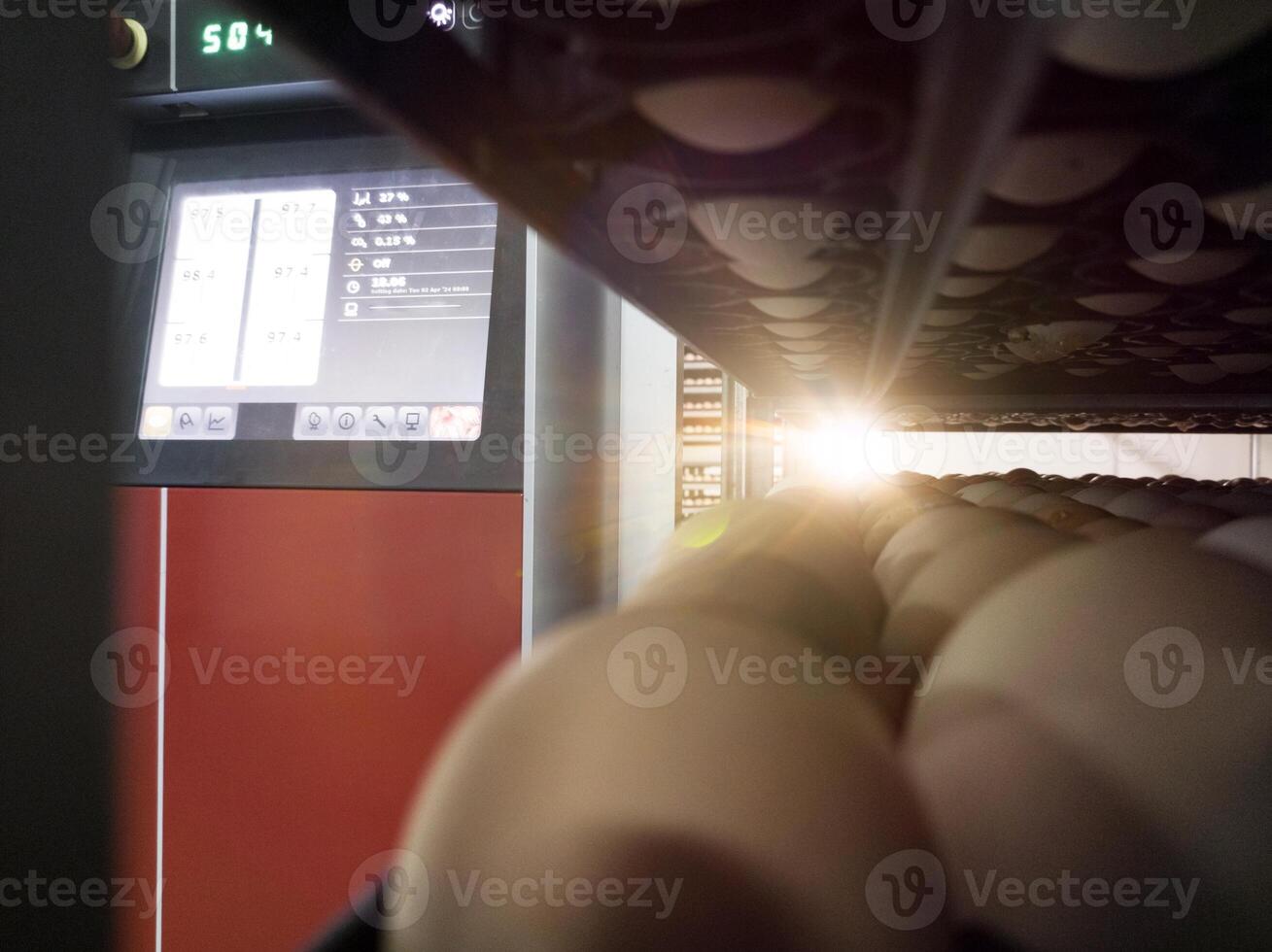 Close up the eggs on the trolley with concept technology of smart incubation hatchering machine. Modern hatchery technology. photo