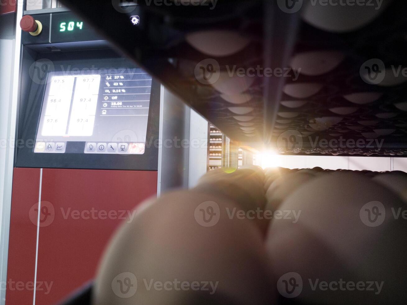 Close up the eggs on the trolley with concept technology of smart incubation hatchering machine. Modern hatchery technology. photo
