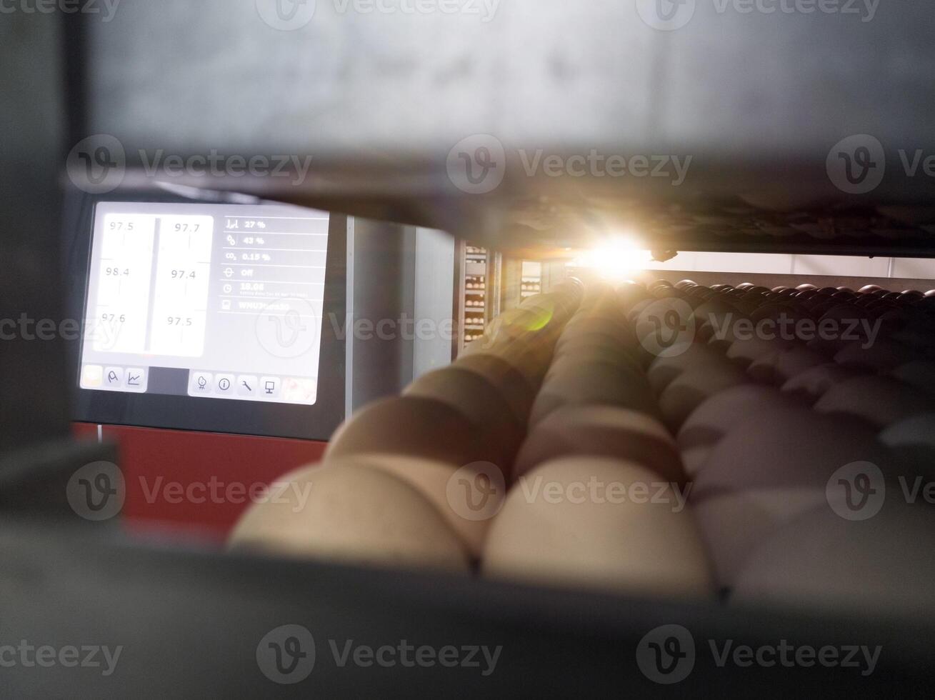 Close up the eggs on the trolley with concept technology of smart incubation hatchering machine. Modern hatchery technology. photo