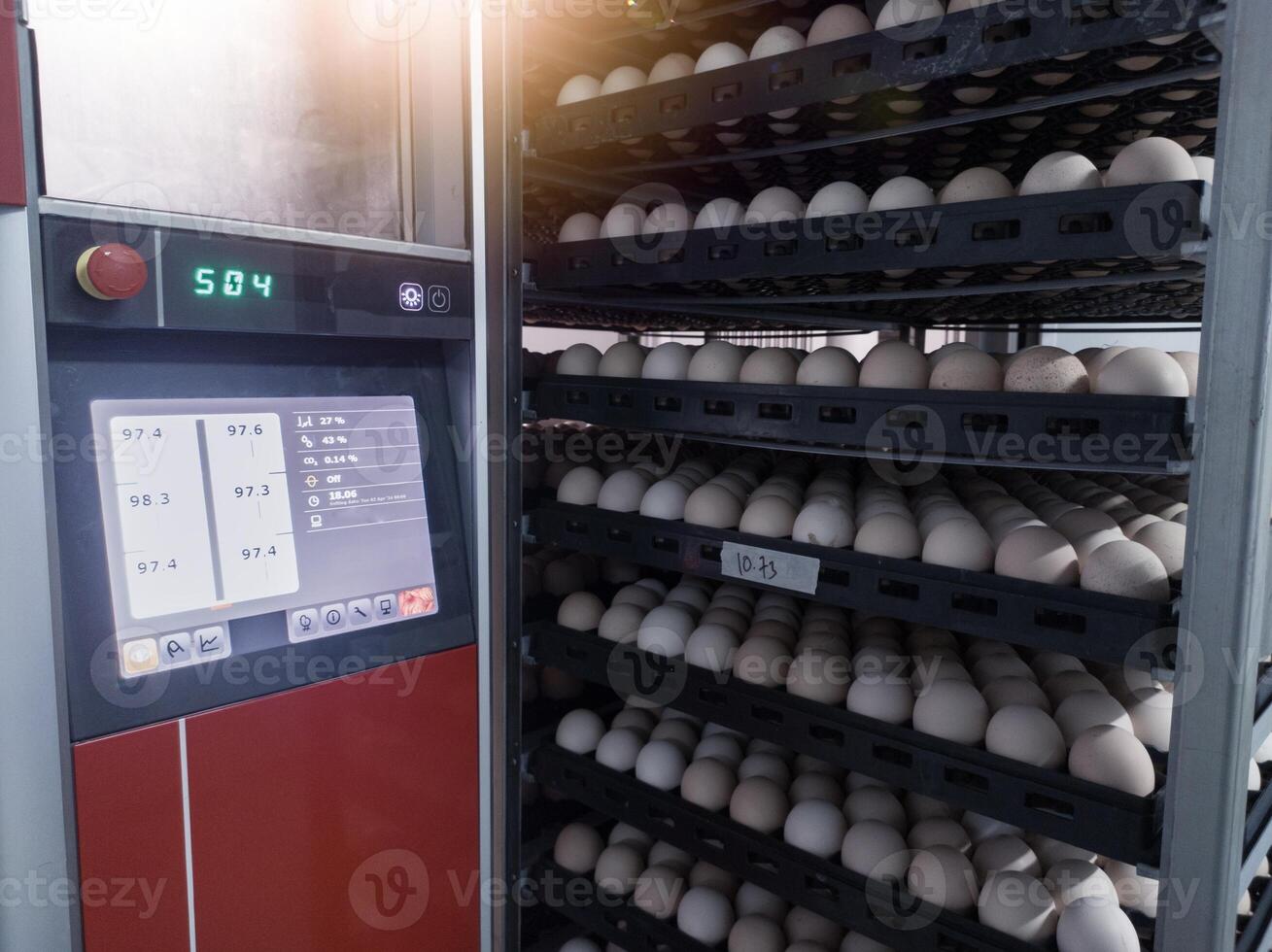 Hatchery concept technology of smart incubation hatchering machine. Modern technology Hatching eggs incubation manchinery. photo