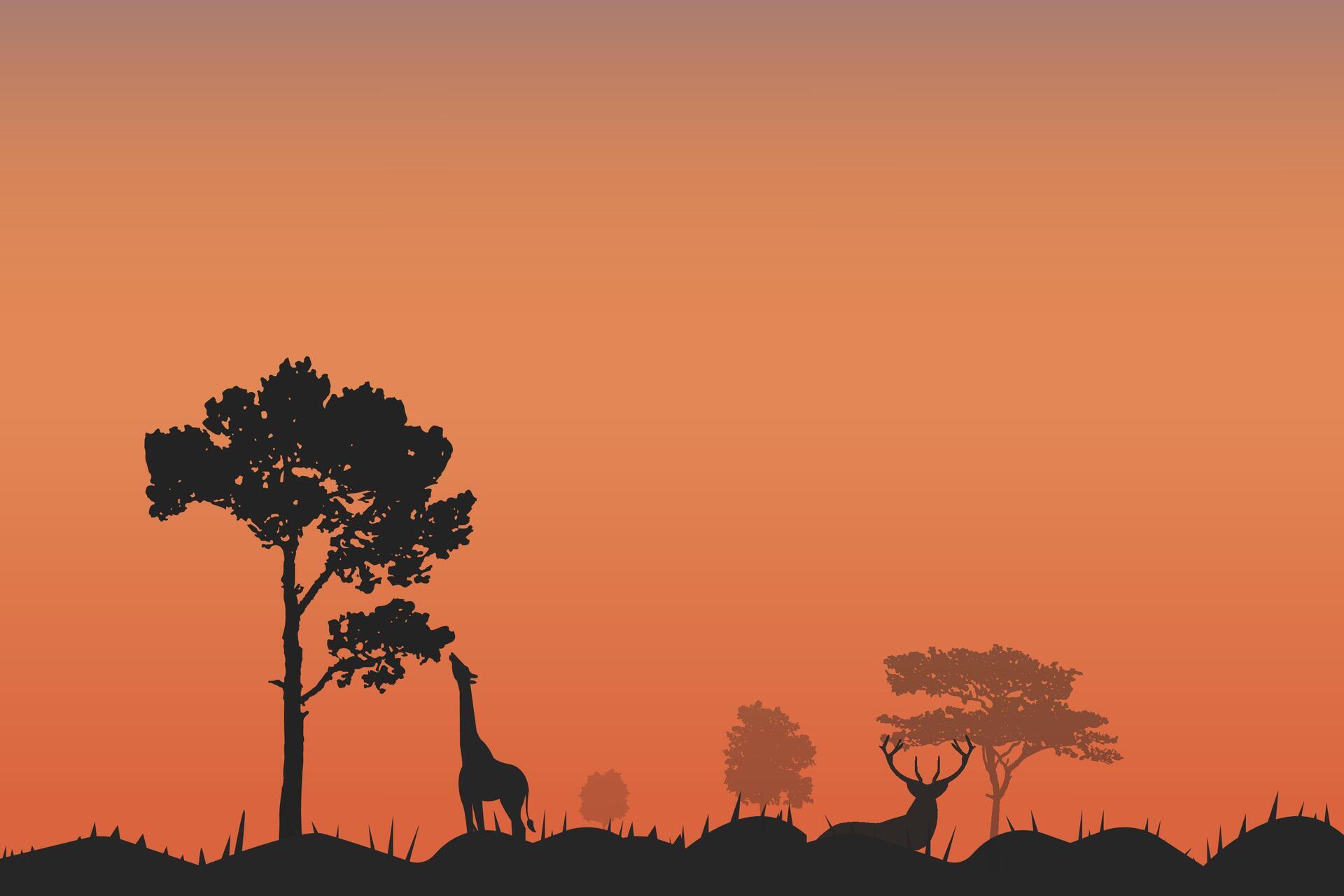 Wild giraffe reaching with long neck to eat from tall tree and red deer