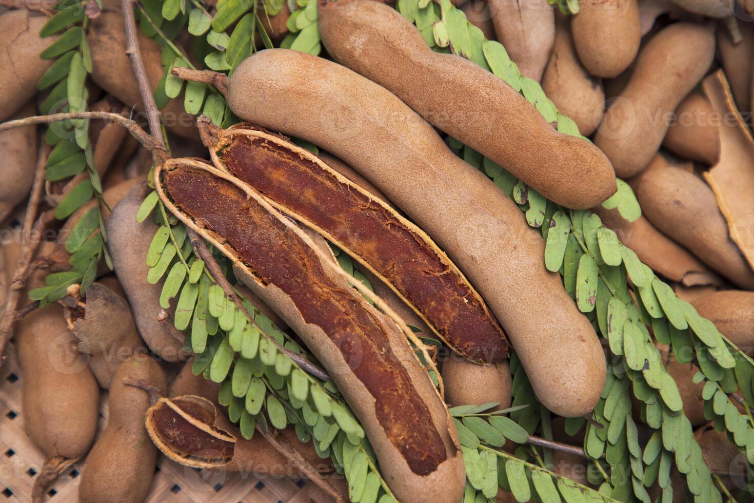 Closeup Focus Some Ripe Tamarind Fruits with Green Leaves photo