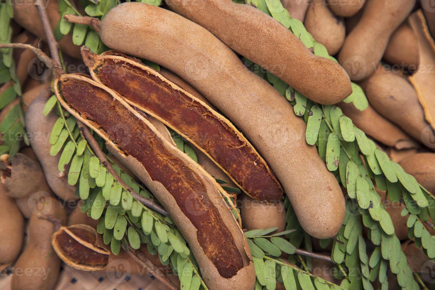 Closeup Focus Some Ripe Tamarind Fruits with Green Leaves photo