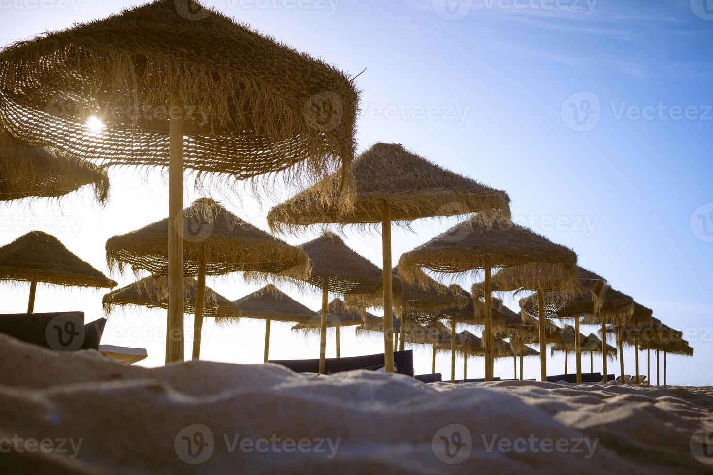 Serene beach scene with a row of thatched umbrellas lined up on the sand photo
