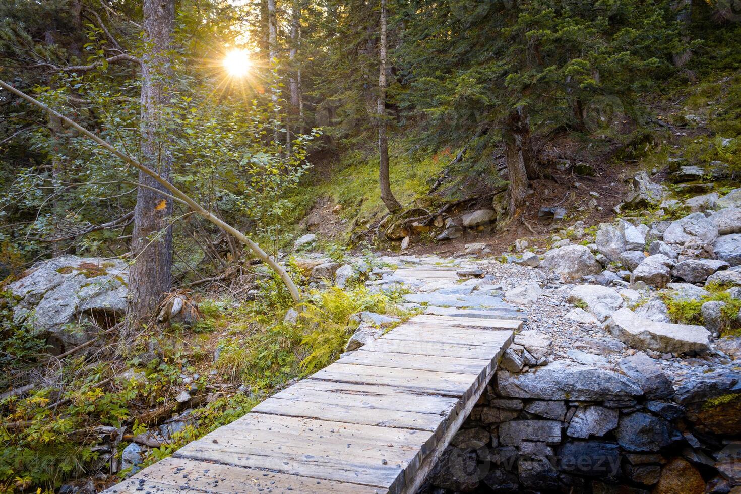 Wooden bridge over river in a forest, connecting footpaths. Sunbeams through trees. photo