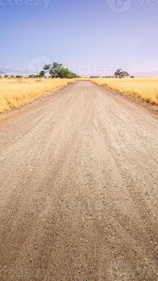 Desert gravel road with vanishing point displaying the way forward. Smartphone format or vertical banner. photo