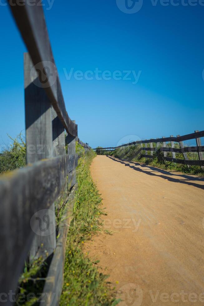 View on the Ludo trail in Ria Formosa in Faro, Portugal photo
