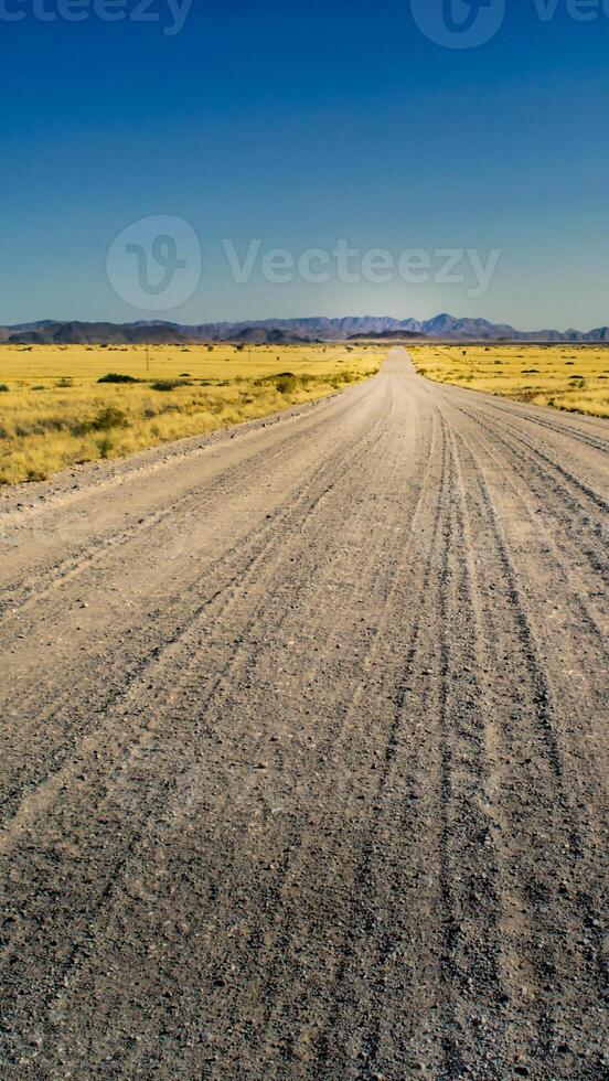 Desert gravel road with vanishing point displaying the way forward. Smartphone format or vertical banner. photo