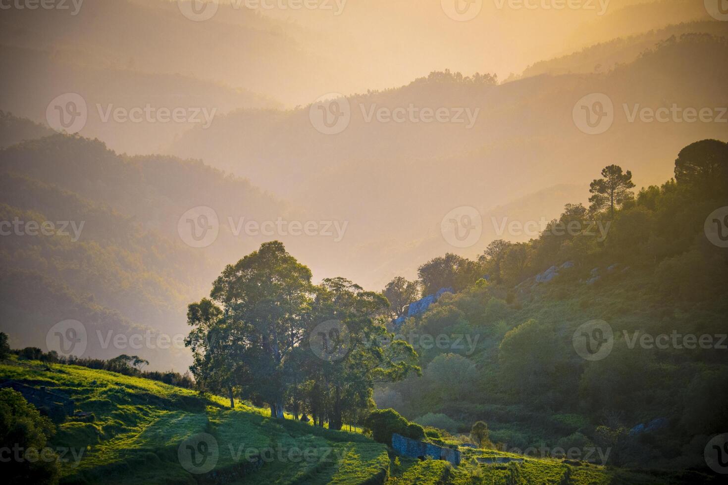 Hazy sunset view in a valley around mount Foia on Monchique, Portugal photo