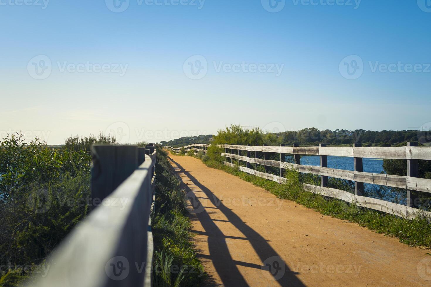View on the Ludo trail in Ria Formosa in Faro, Portugal photo