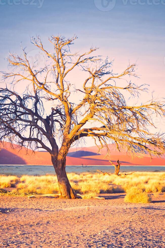 Vertical shot of dead tree in the desert of Sossusvlei, Namibia, dramatic light during golden hour photo