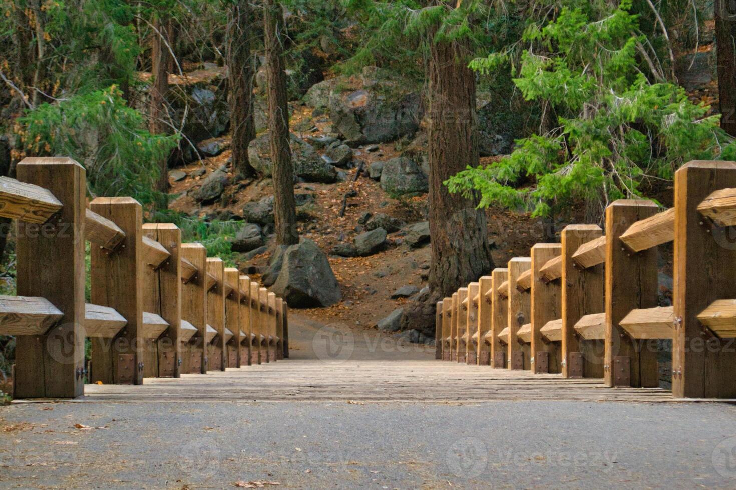 Wooden bridge connecting shores in nature and national park. Low angle view. photo