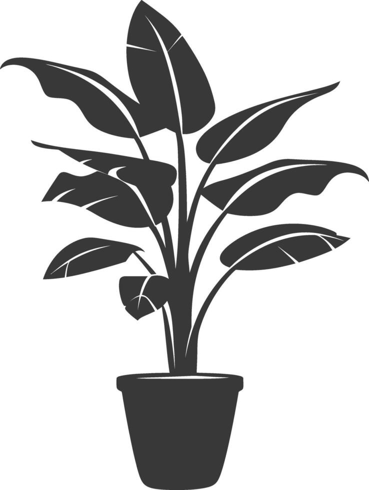 silhouette tropical plant in pot black color only vector