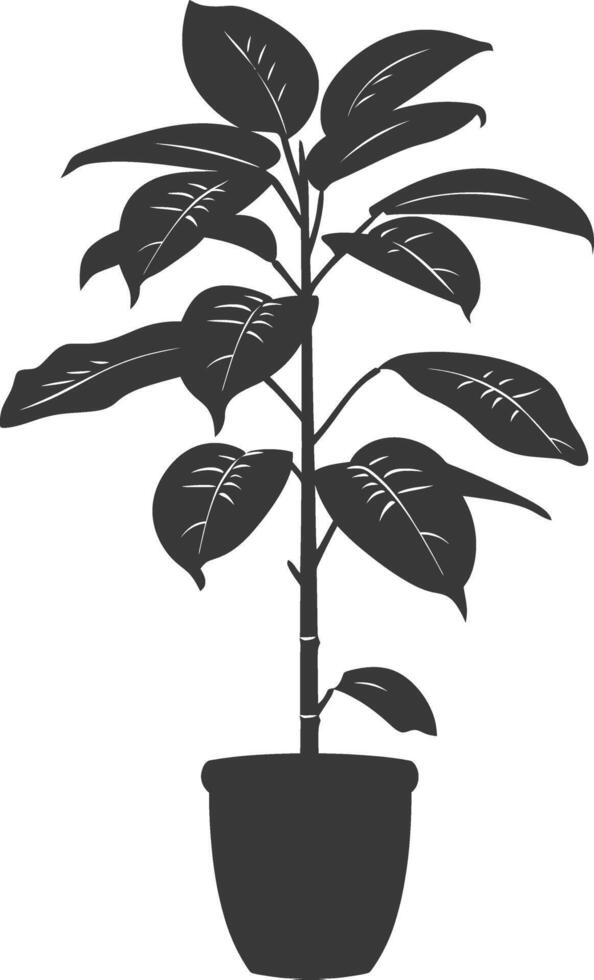 silhouette tropical plant in pot black color only vector