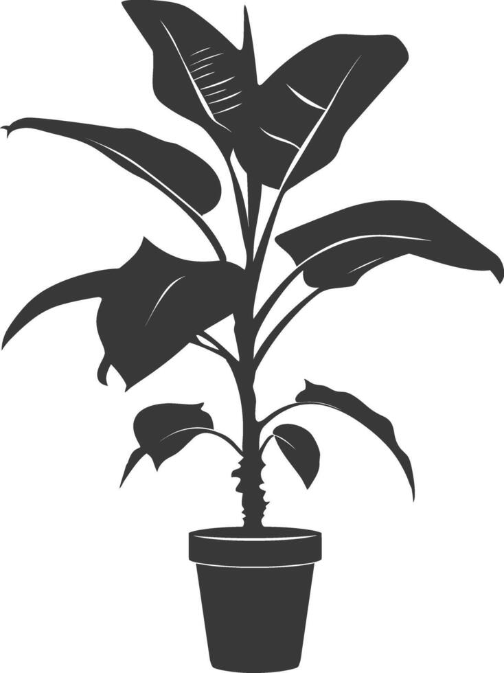 silhouette tropical plant in pot black color only vector