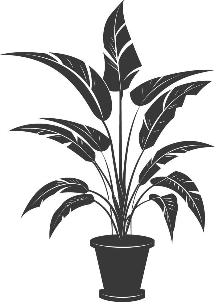 silhouette tropical plant in pot black color only vector