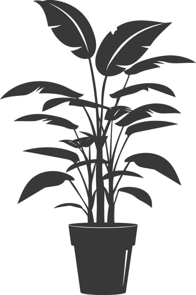 silhouette tropical plant in pot black color only vector