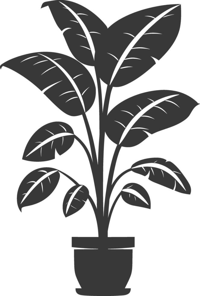 silhouette tropical plant in pot black color only vector
