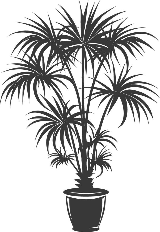 silhouette tropical plant in pot black color only vector