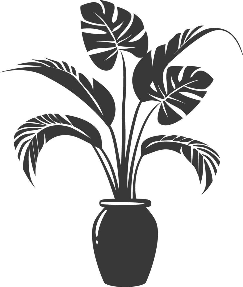 silhouette tropical plant in vase black color only vector