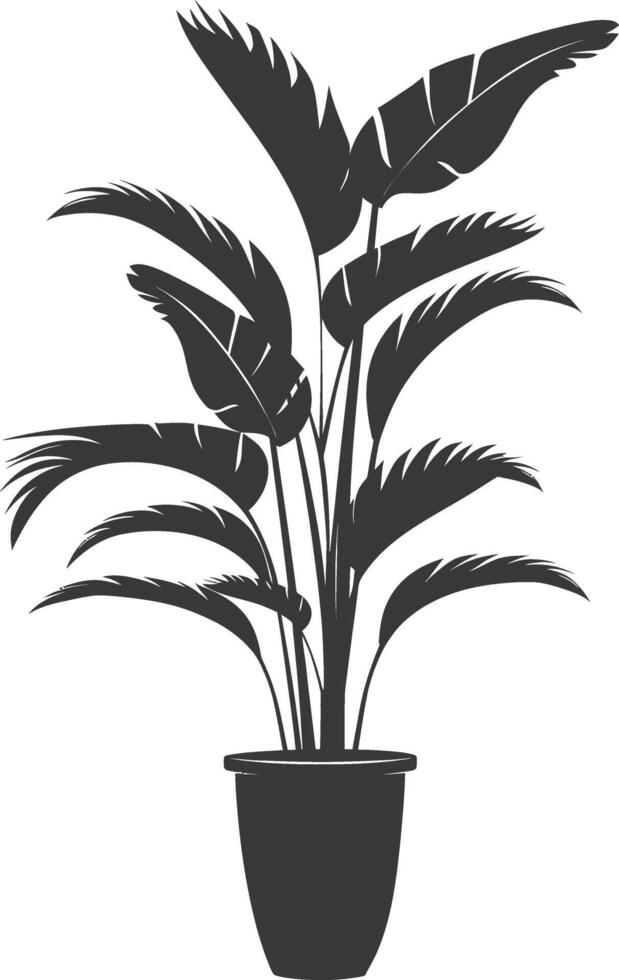 silhouette tropical plant in pot black color only vector